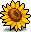Sunflower Petal icon