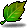 Leaf icon