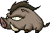 Wild Boar
